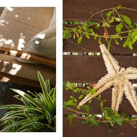 Dom wakacyjny House Varvara Kassiopi